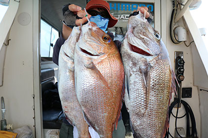 松本釣船２ 釣果