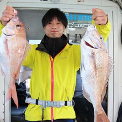 松本釣船２ 釣果