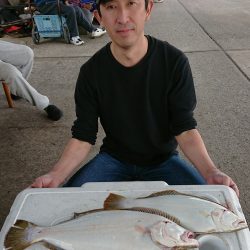 明神釣船 釣果