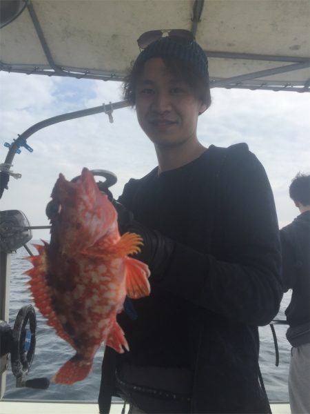 マタウマリンサービス 釣果