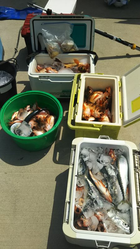 モンロー号 釣果