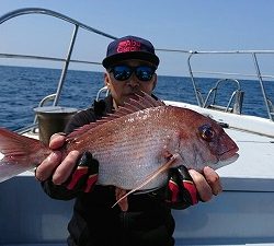 海龍丸(福岡) 釣果