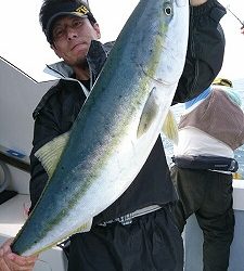 海龍丸(福岡) 釣果