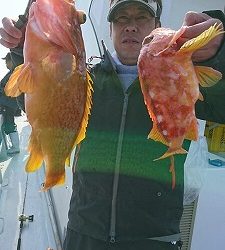 海龍丸(福岡) 釣果