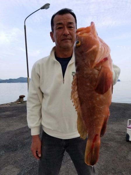 オーフリー 釣果