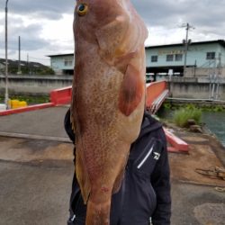 オーフリー 釣果