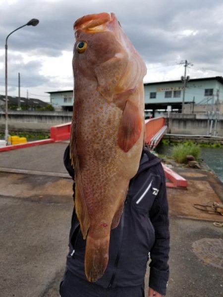 オーフリー 釣果