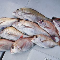 松本釣船２ 釣果