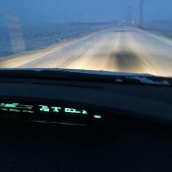 第八平成丸 釣果