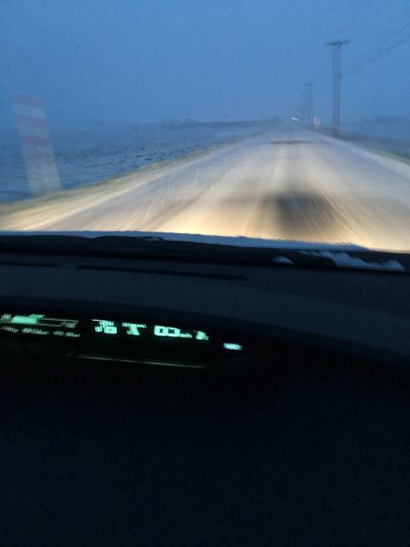 第八平成丸 釣果