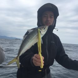 マタウマリンサービス 釣果