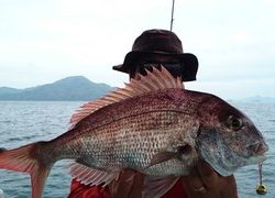 愛裕南丸 釣果