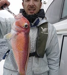 海龍丸(福岡) 釣果