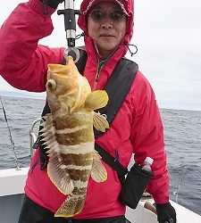 海龍丸(福岡) 釣果