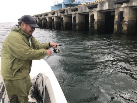 TOPGUN衣浦 釣果