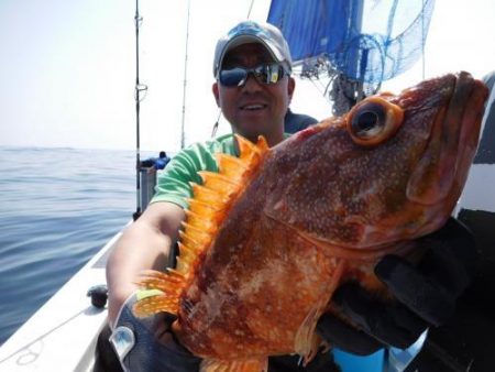 第二一之紀丸(ダイニイチノキマル) 釣果