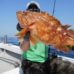 第二一之紀丸(ダイニイチノキマル) 釣果