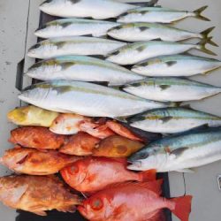 第二一之紀丸(ダイニイチノキマル) 釣果