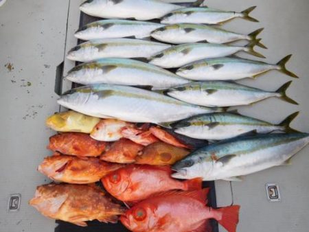 第二一之紀丸（ダイニイチノキマル） 釣果