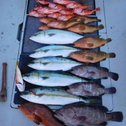 第二一之紀丸(ダイニイチノキマル) 釣果