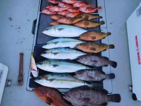 第二一之紀丸(ダイニイチノキマル) 釣果