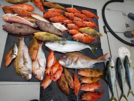 第二一之紀丸（ダイニイチノキマル） 釣果