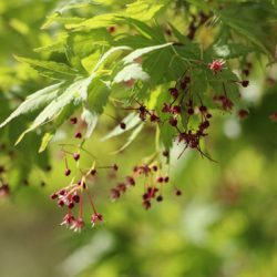 小菅トラウトガーデン 釣果