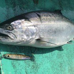 広進丸 釣果