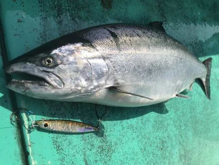 広進丸 釣果