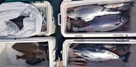 気仙沼　つり丸 釣果