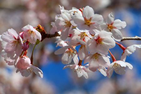 小菅トラウトガーデン 釣果