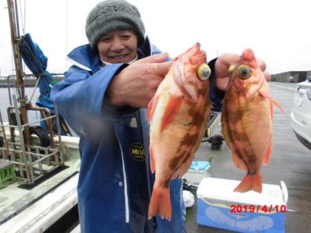 大進丸(新潟) 釣果