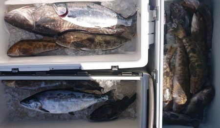 気仙沼　つり丸 釣果