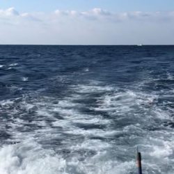 へいみつ丸 釣果