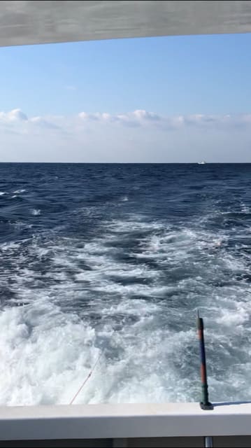 へいみつ丸 釣果