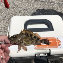 がまかつ うきまろインプレ　知多半島でファミリーフィッシング！カンパリモニター