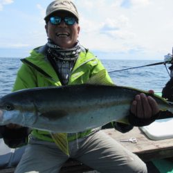 真祐丸 (しんゆうまる) 釣果