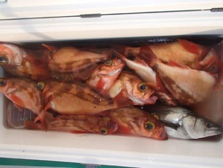 第二むつ漁丸 釣果