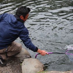 小菅トラウトガーデン 釣果
