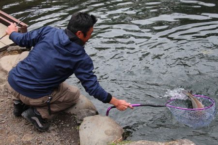 小菅トラウトガーデン 釣果