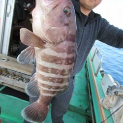 真祐丸 (しんゆうまる) 釣果