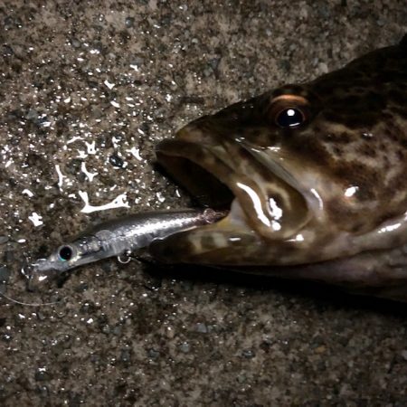 二見メバリング12