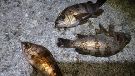 今夜はきびしい~