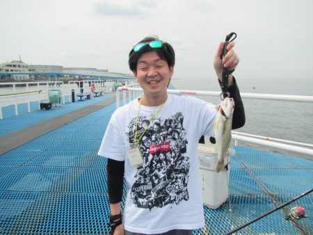 オリジナルメーカー海づり公園(市原市海づり施設) 釣果