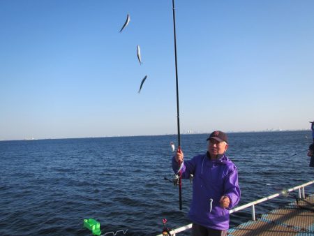 オリジナルメーカー海づり公園(市原市海づり施設) 釣果