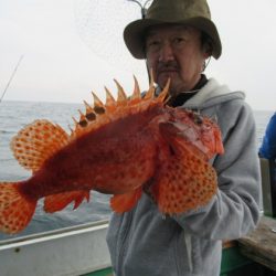 真祐丸 (しんゆうまる) 釣果