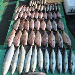 真祐丸 (しんゆうまる) 釣果