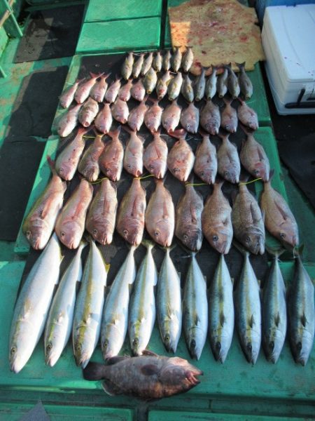 真祐丸 (しんゆうまる) 釣果