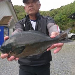 千津丸 釣果