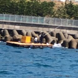 あみや渡船 釣果